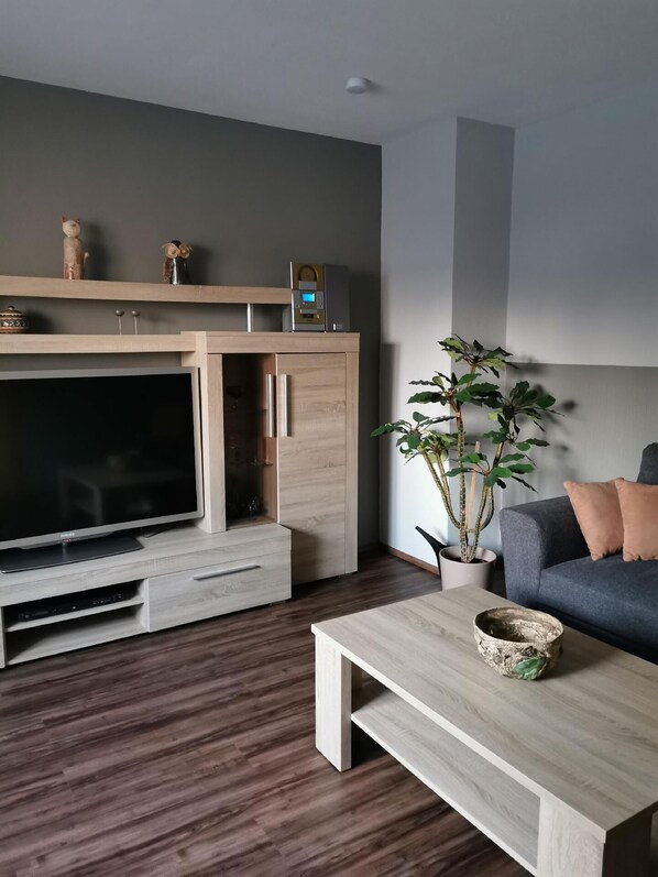 Fernseher, DVD-Player