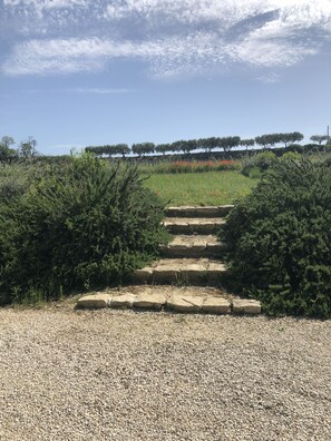 Overnattingsstedets uteområder