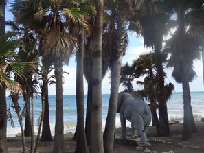 Cena de praia com palmeiras e uma grande estátua de elefante.