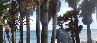 Residence Lorcrisur in Marbella, Puerto Banus, Costa del Sol, 2 bedrooms