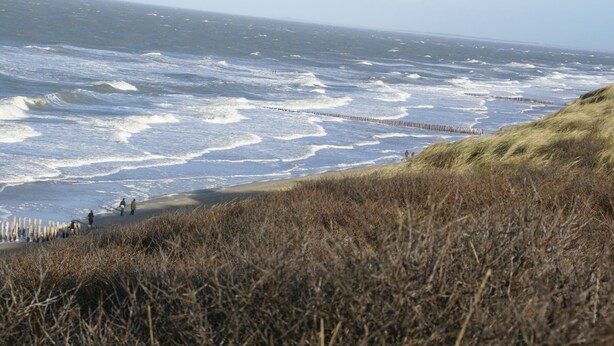 A coastal landscape with waves crashing onto the shore, a grassy embankment, and a wooden fence. - Nice holiday home for 6 pers., Only 500m from the beach, with own beach cabin (Oostkapelle)