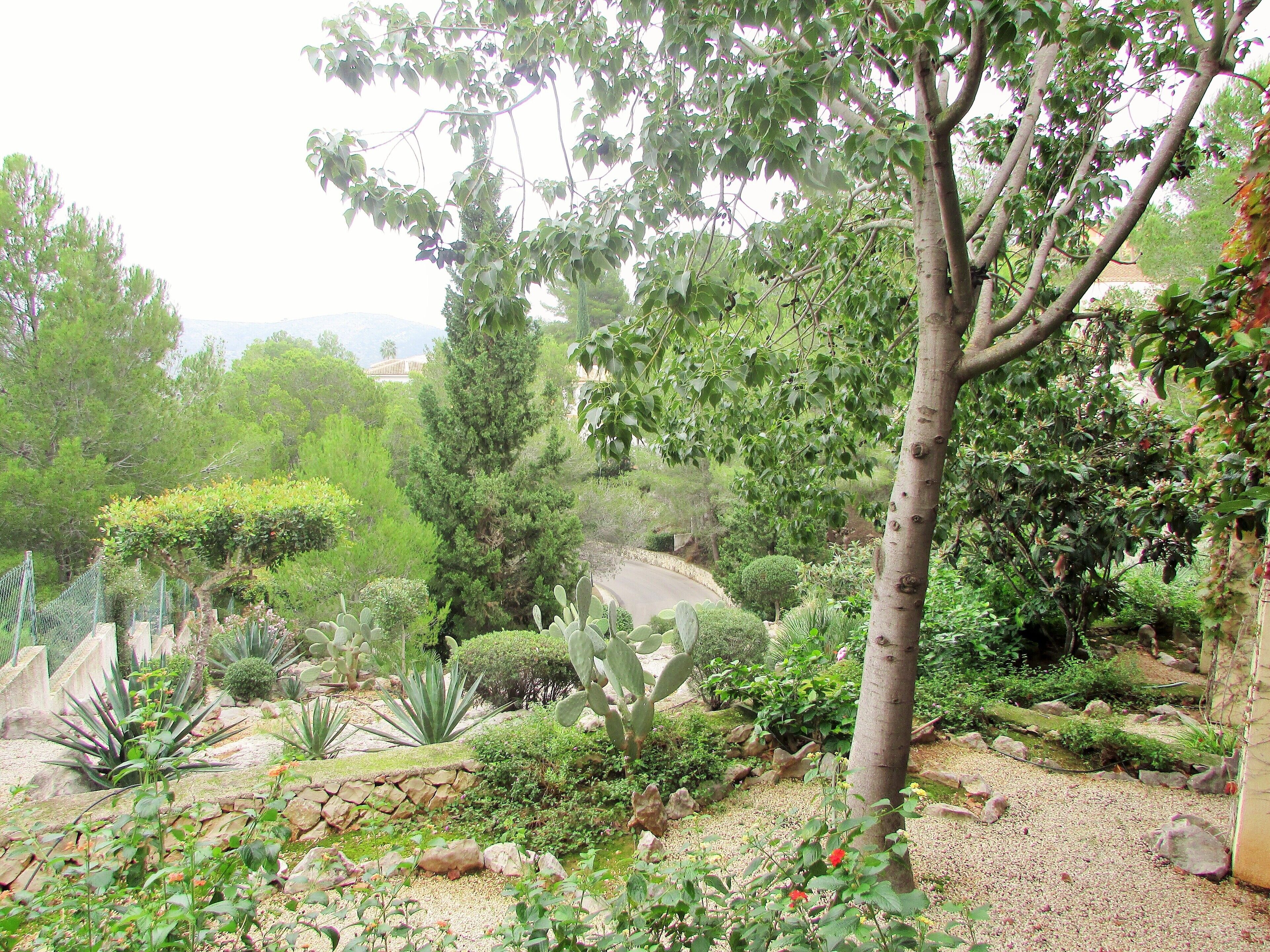 Áreas de la propiedad