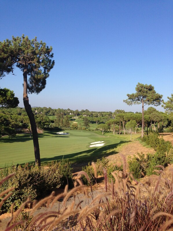 Golf