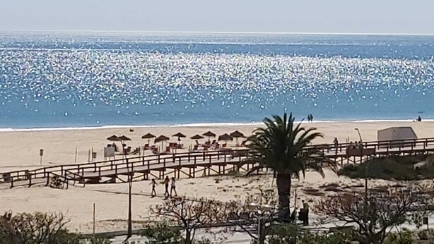 Ein Strand mit einer Holzpromenade, Sonnenschirmen und Palmen.