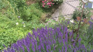 A garden with a variety of plants and flowers, a patio area with outdoor furniture, and a house with a sloped roof.