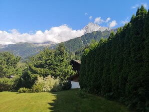 Property grounds - Very warm and comfortable with great mountain views, large terrace and garden (Les Houches)