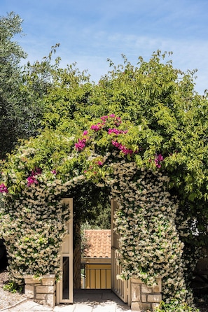 An archway covered with flowering plants and a building entrance.
