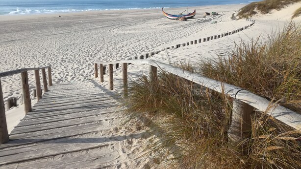 A wooden staircase leading to a sandy beach with a boat and a wooden fence.