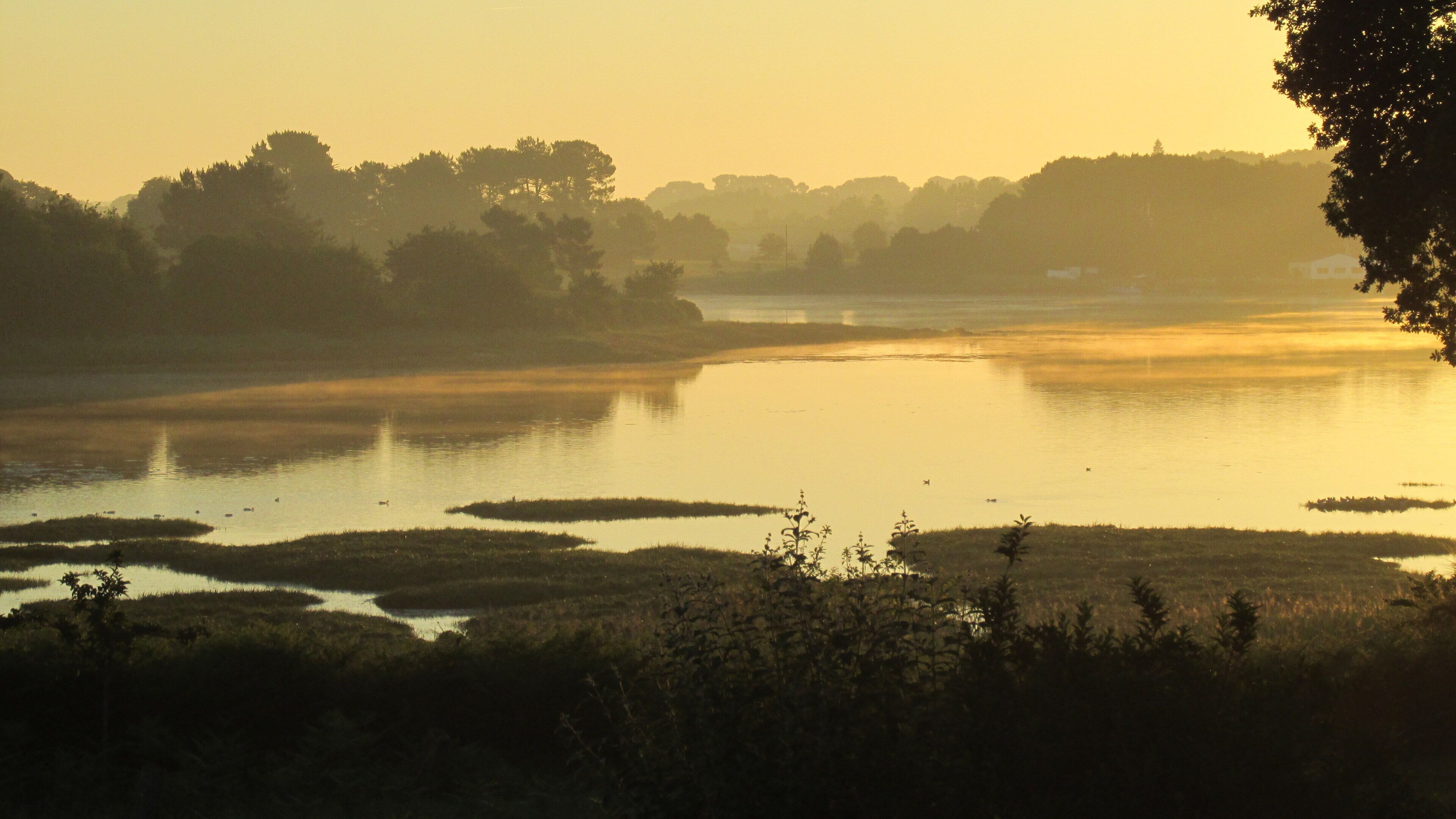 On the river Auray. In peace, T2 entirely equipped in private residence