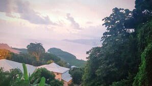 A pool area with lounge chairs and a dining table, surrounded by lush greenery and a view of distant hills. - CocosunLodge * superb sea view and private pool * (TROIS ILETS)