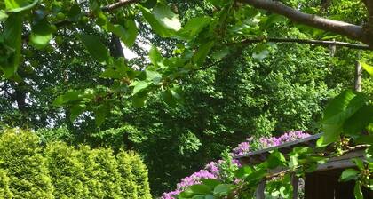 Encantadoramente cálido y soleado apartamento "Antholz"