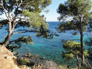 Un paysage côtier avec une mer bleue et limpide, un terrain rocheux et des pins.