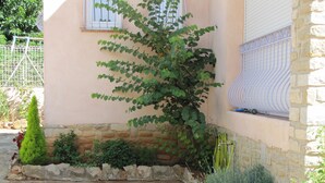 A stone pathway leading to a house with a garden.