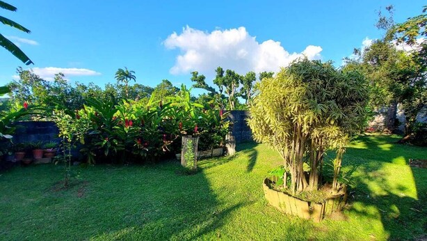 A well-maintained garden with various plants and a lawn. - A rejuvenating stay in our peaceful gîtes (SAINTE ROSE)