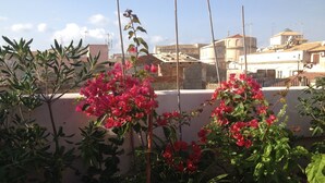En tagterrasse med plantekasser og blomstrende buske.