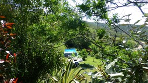 A lush garden with a blue structure, possibly a pool or spa, surrounded by dense foliage and a view of distant hills. - F3 of 80m ², swimming pool with sight on sea and mountains Arrival possible during the week (Calcatoggio)