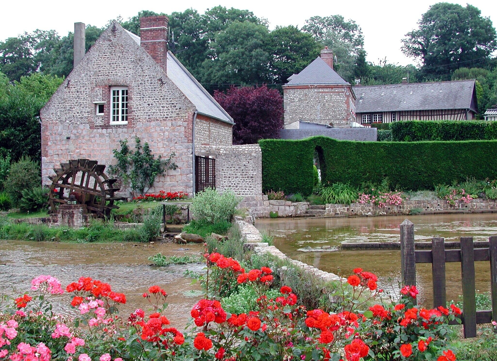 Les cressonnières