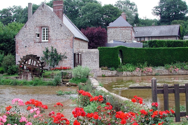 Les cressonnières