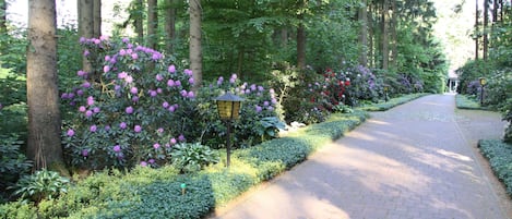 Parco della struttura