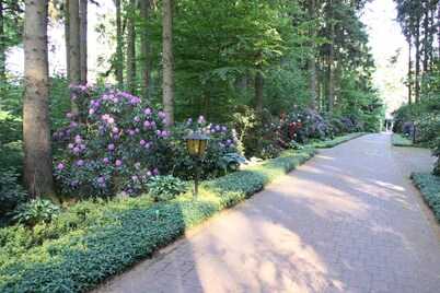 Vacation in the heath! Recreation and adventure for children and adults