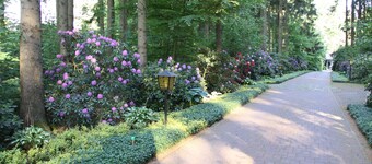 Vacation in the heath! Recreation and adventure for children and adults