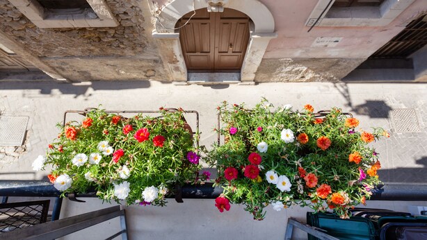 A building facade with a large wooden door and two flower baskets hanging from the wall. - COZY FIRST FLOOR IN THE HEART OF ORTIGIA (Siracusa)