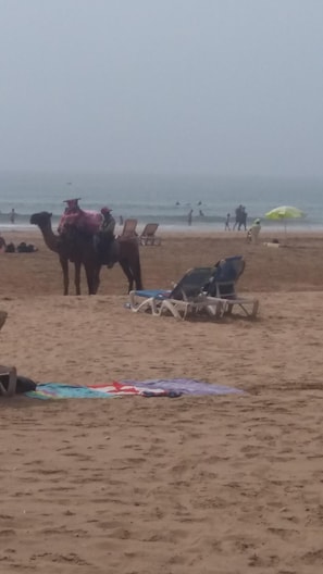 På stranden, badehåndklæder