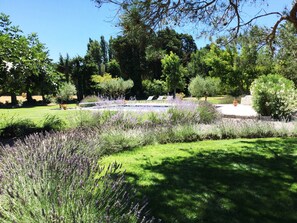Un jardín con lavanda, árboles y una zona de piscina.