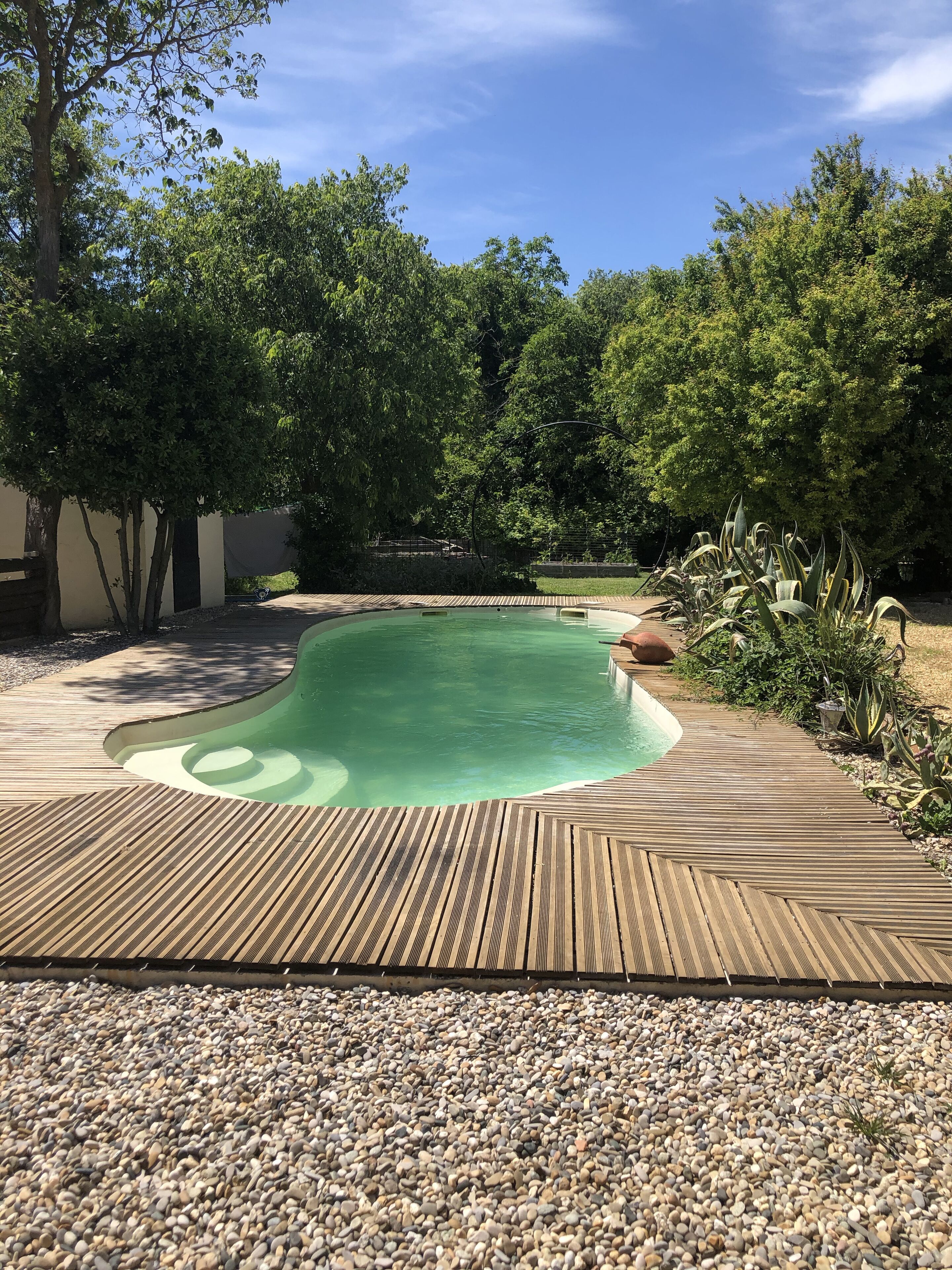 A swimming pool with a wooden deck and surrounding greenery.
