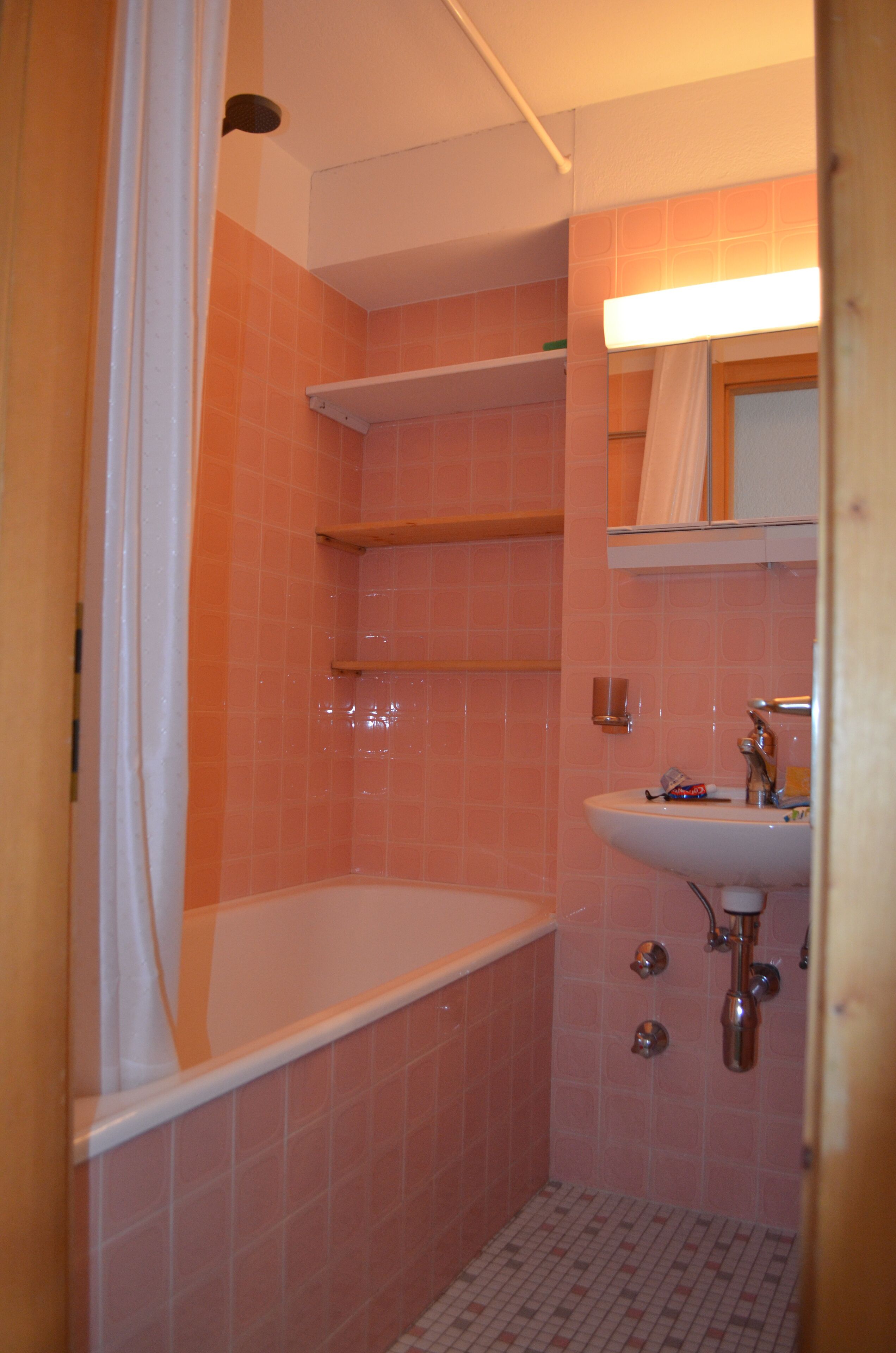 Combined shower/tub, hair dryer