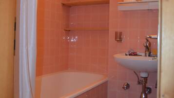 Combined shower/tub, hair dryer