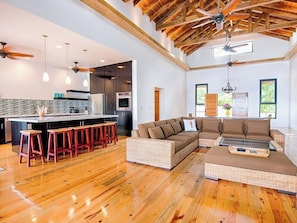 Smart TV, DVD player, music library, video library - Luxury Oceanfront Villa Private Infinity Pool (West End)