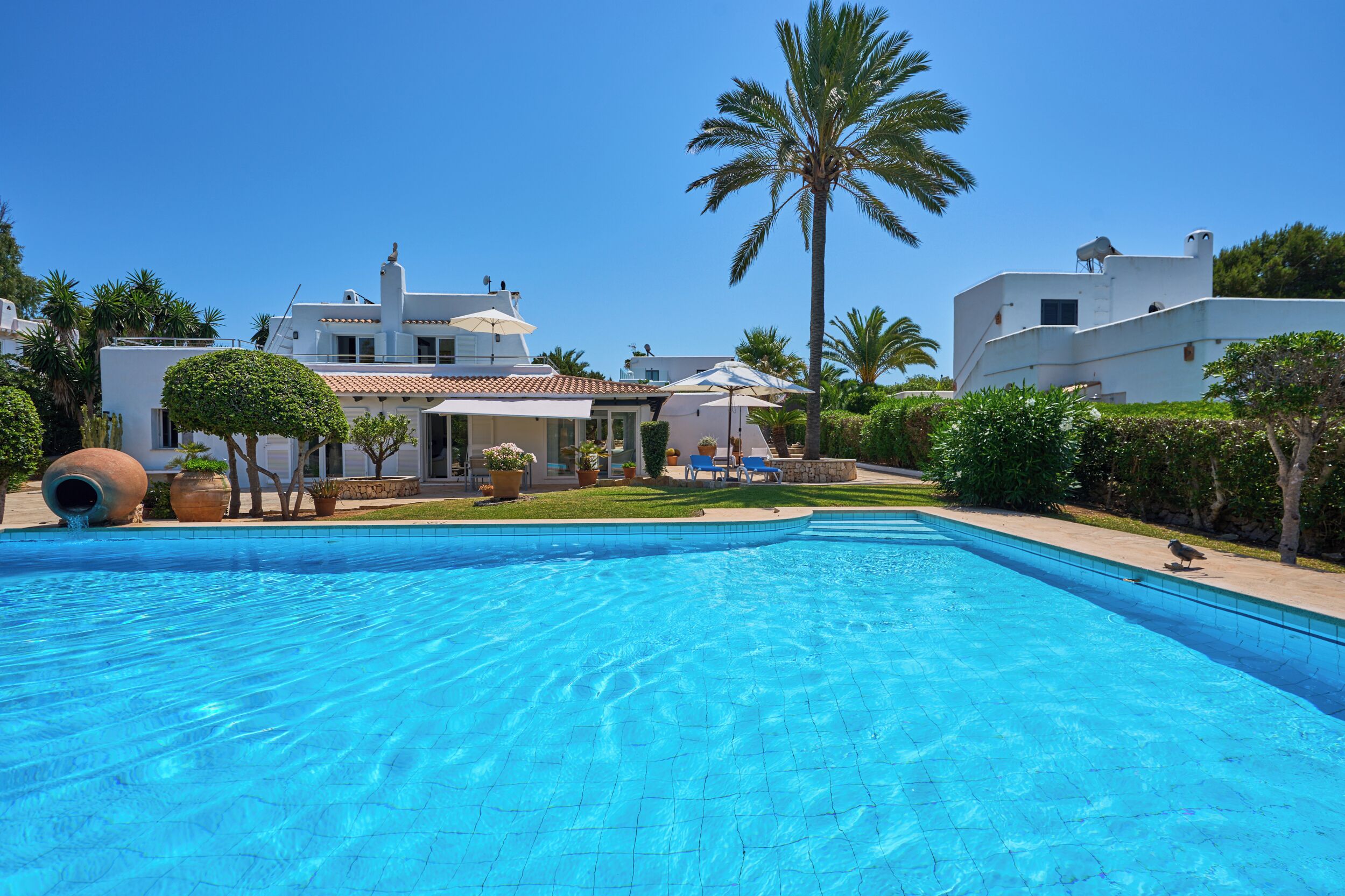 A swimming pool with a clear blue water, surrounded by a well-maintained lawn and palm trees.