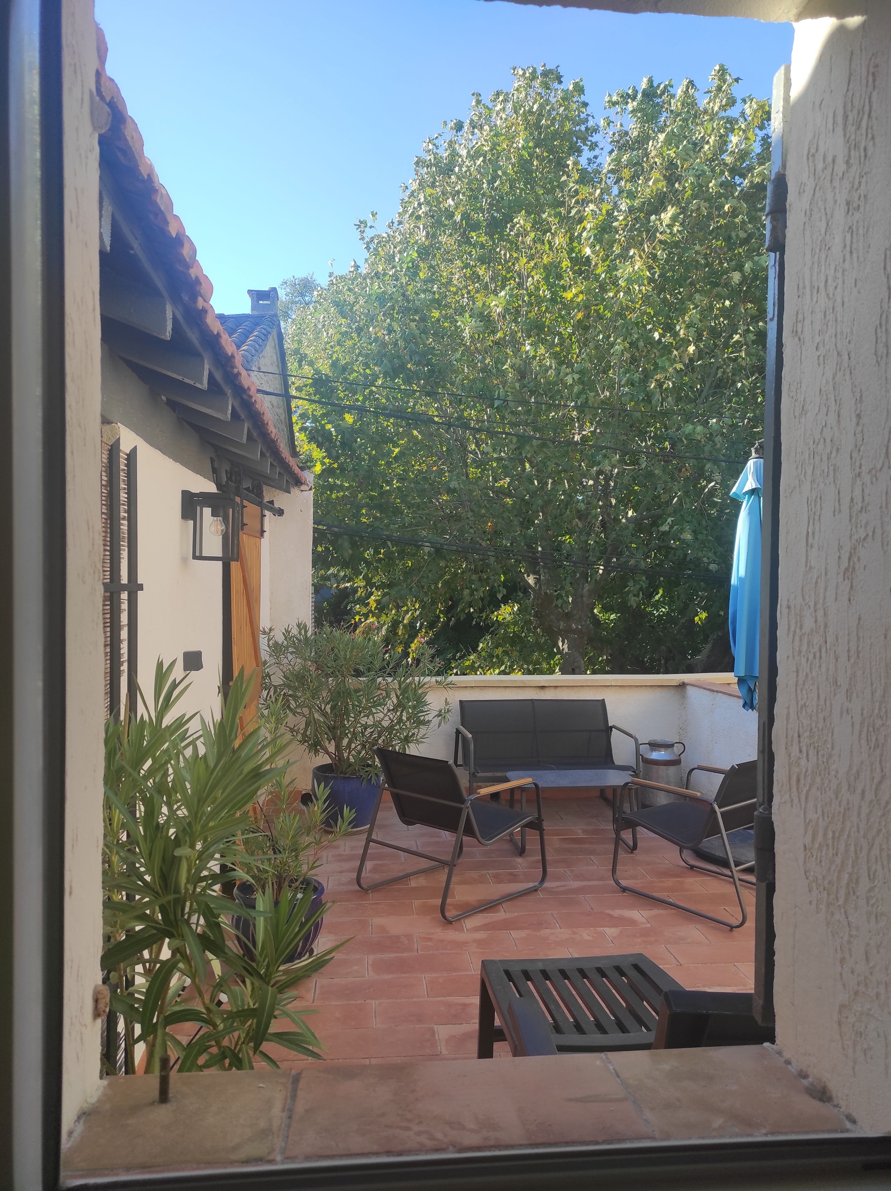 A patio with a bench, potted plants, and a view of a tree.