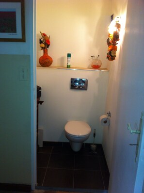Une petite salle de bain comprenant des toilettes, une étagère avec un vase et une bouteille, et un luminaire fixé au mur.