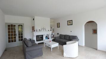 TV connectée, cheminée, lecteur de DVD, livres