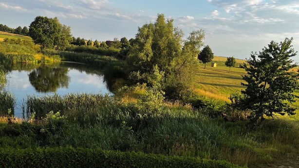 Utendørsservering