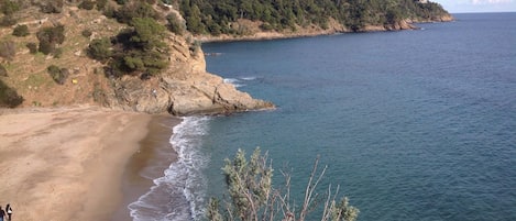 Una playa cerca
