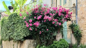 A stone building with a green door, a small garden with pink flowers, and a banana plant. - Claire s' house in medieval village couze near river Dordogne with your pets (Couze)
