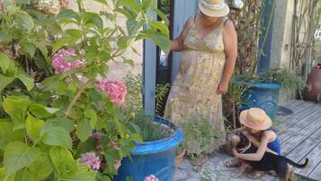 Terrein van de accommodatie