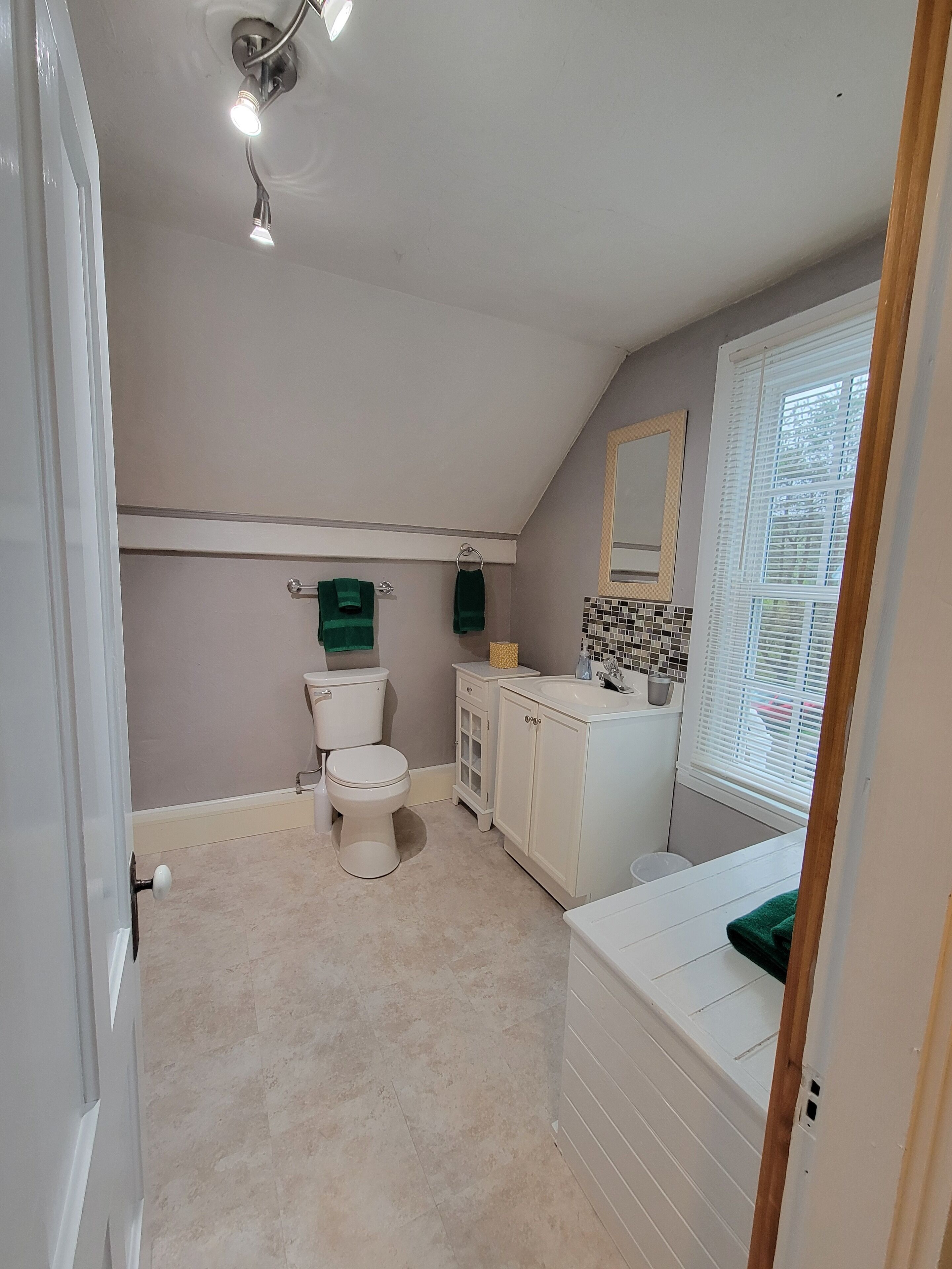 Combined shower/tub, hair dryer, towels