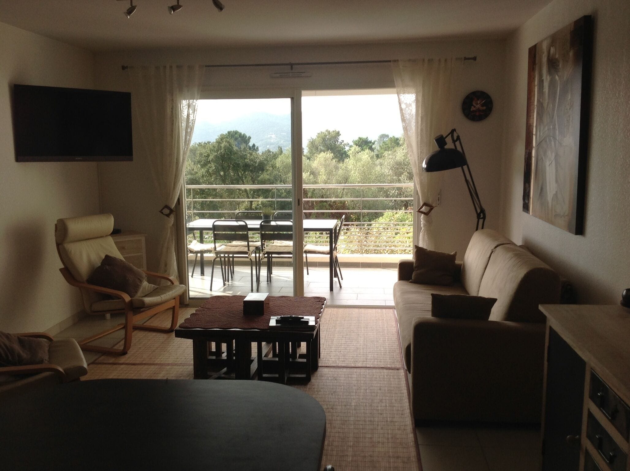Smart TV, DVD player, books