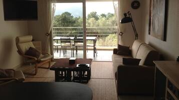Smart TV, DVD player, books