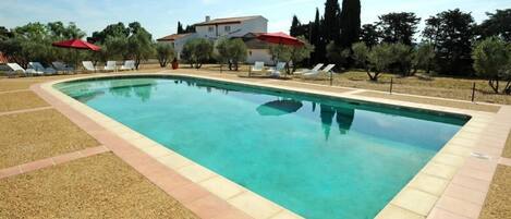 Una piscina rectangular con borde alicatado, rodeada de grava. Hay sillas de descanso y sombrillas a lo largo de la piscina.