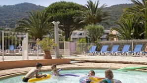 Ein Schwimmbecken mit Liegestühlen und Palmen im Hintergrund.