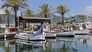 Ein Yachthafen mit mehreren vertankten Booten, einer überdachten Konstruktion und Palmen im Hintergrund.