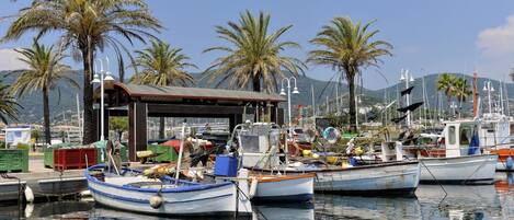 Un puerto deportivo con varias embarcaciones amarradas, una estructura cubierta y palmeras al fondo.