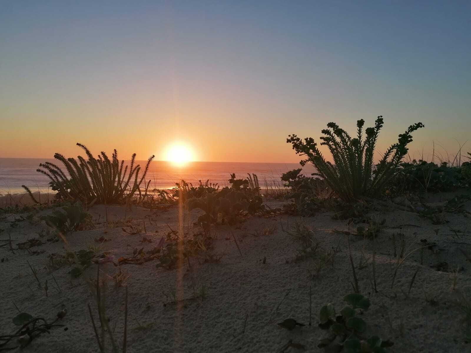 Ranta lähistöllä, aurinkotuoleja