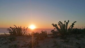 Et strandbillede med solnedgang over havet, omgivet af sparsom vegetation.