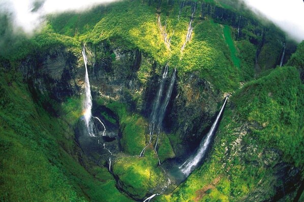 Un paysage verdoyant et luxuriant, avec des cascades et une forêt dense.